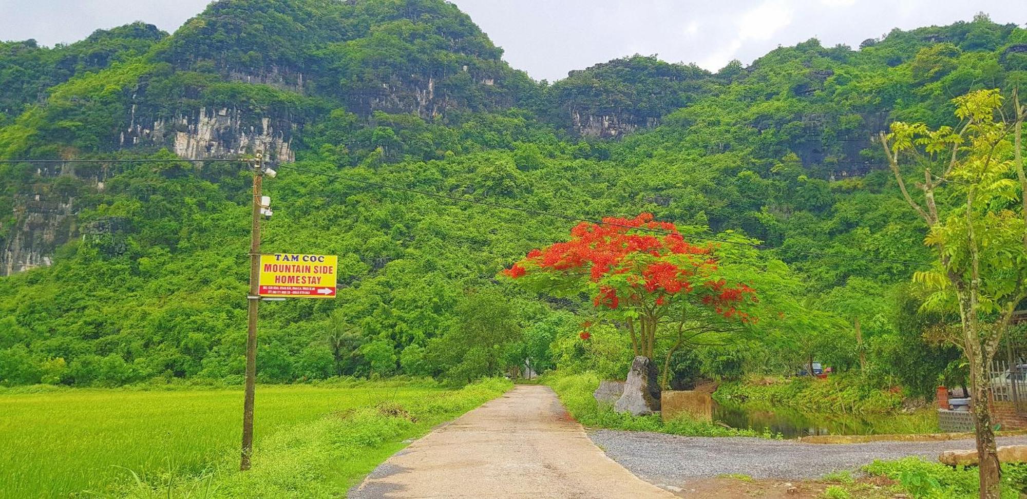 Tam Coc Moutainside Homestay Ninh Binh Esterno foto