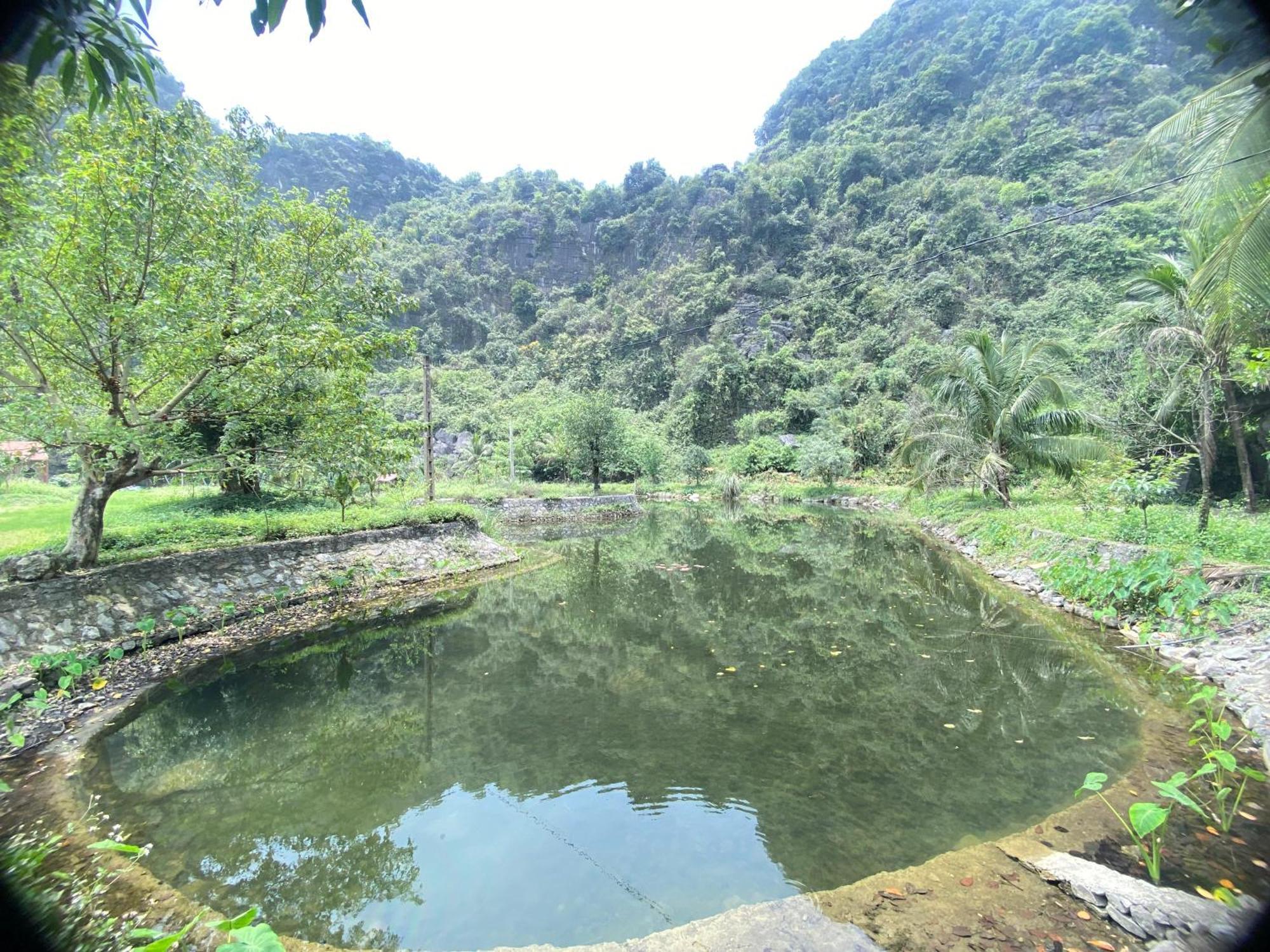 Tam Coc Moutainside Homestay Ninh Binh Esterno foto