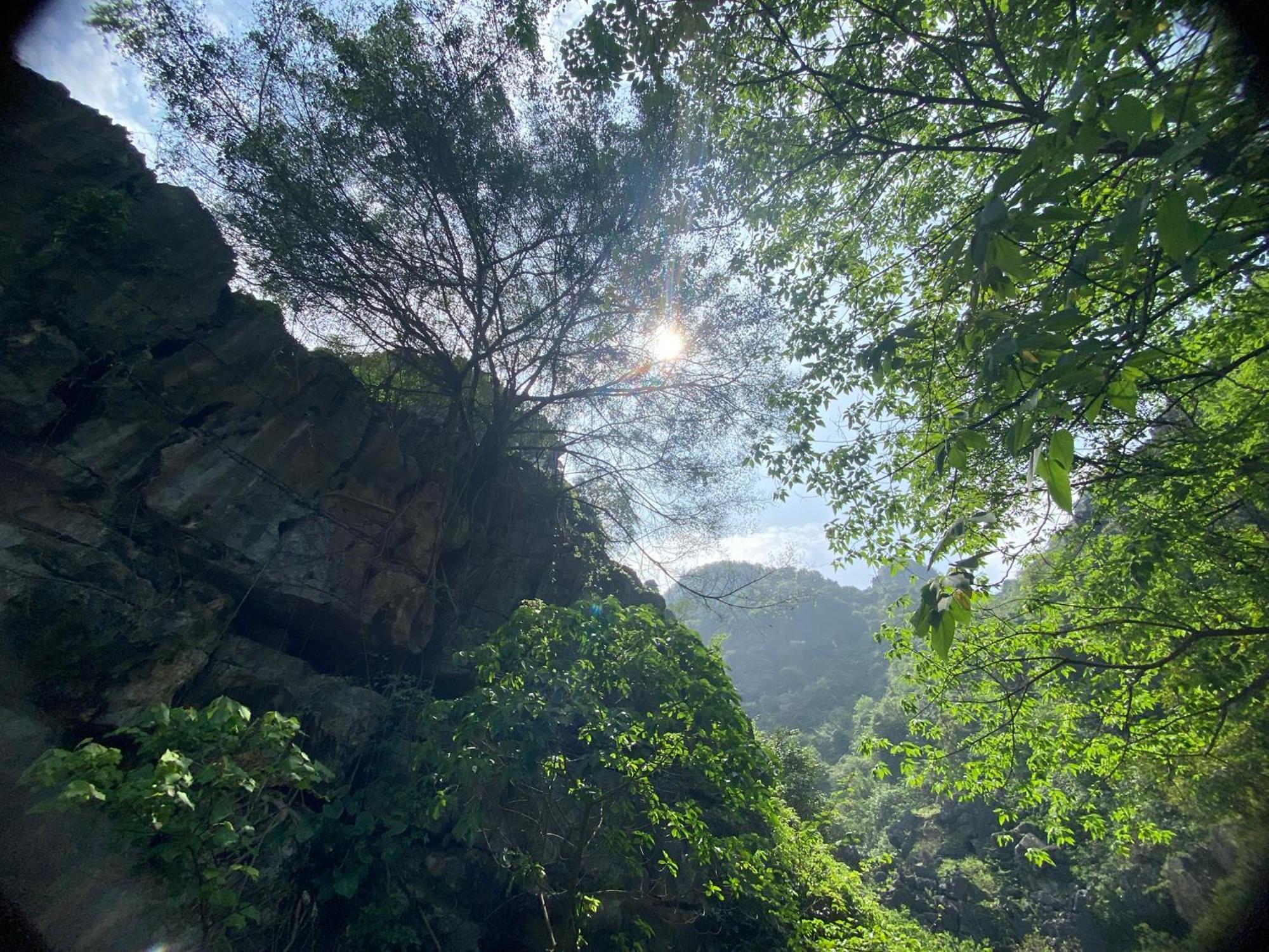 Tam Coc Moutainside Homestay Ninh Binh Esterno foto