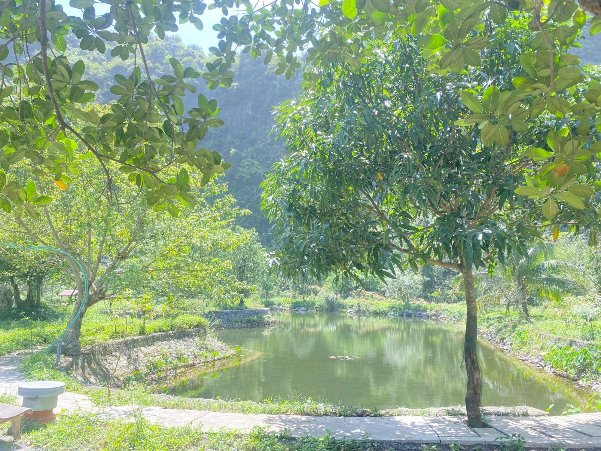 Tam Coc Moutainside Homestay Ninh Binh Esterno foto